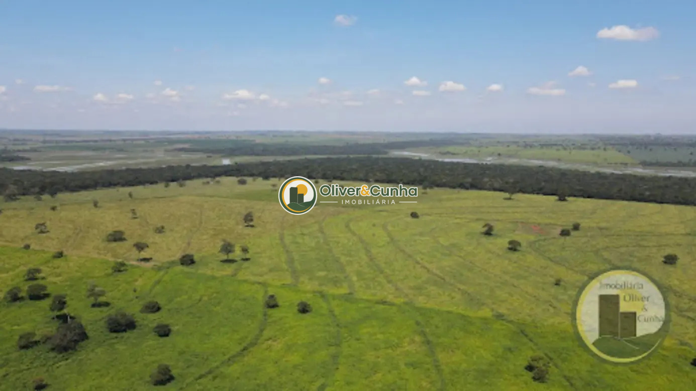 Fazenda Região de Pereira Barretos (SP) - Foto 4