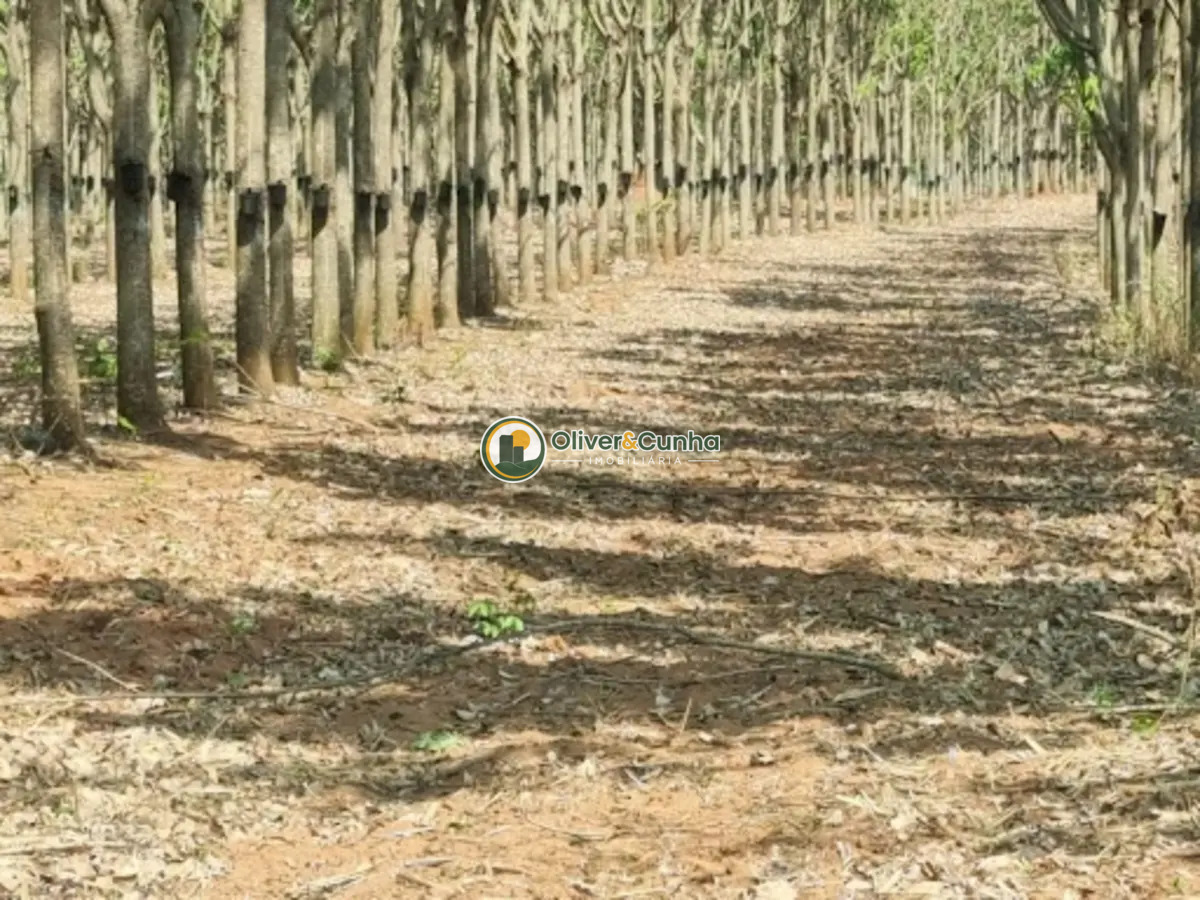 fazenda em Zona Rural - Foto 4