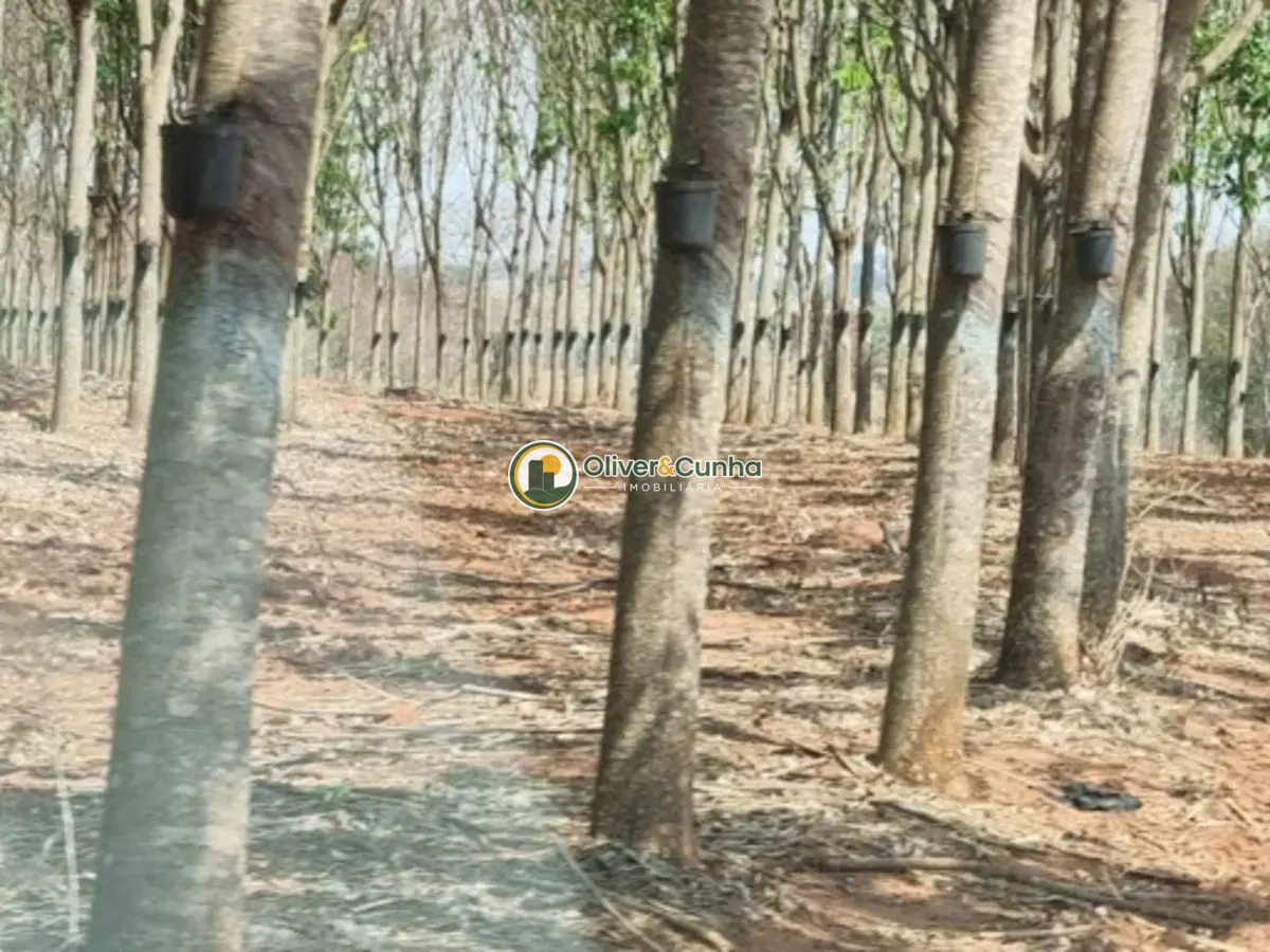 fazenda em Zona Rural - Foto 5