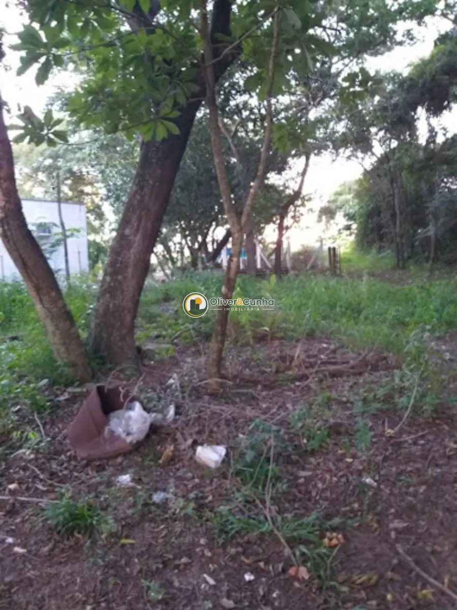 sitio em Zona Rural - Foto 5