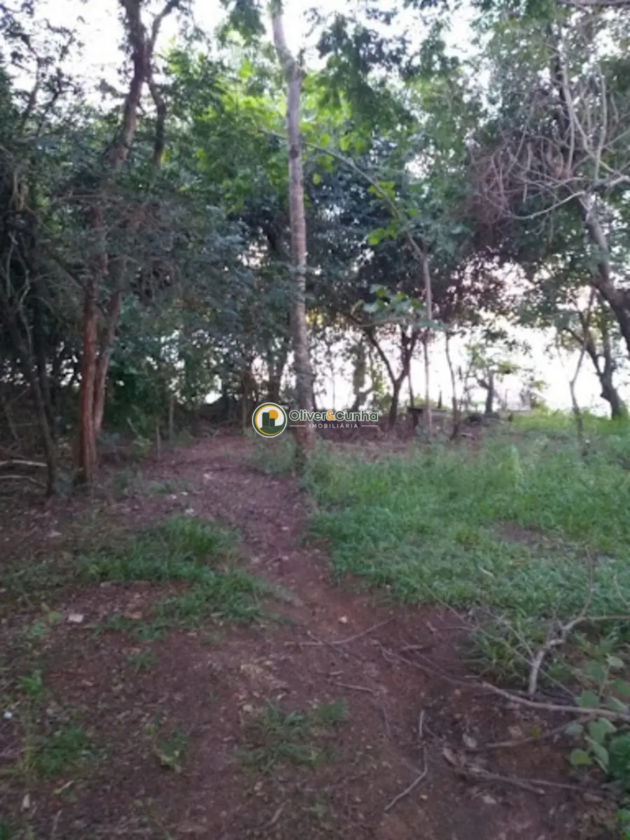sitio em Zona Rural - Foto 4