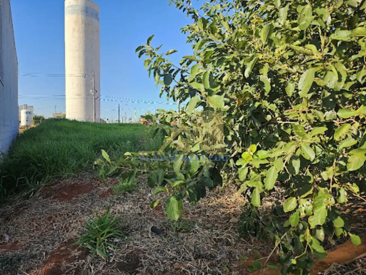 Terreno para Venda - Jardim Alto Alegre, Votuporanga - Foto 2