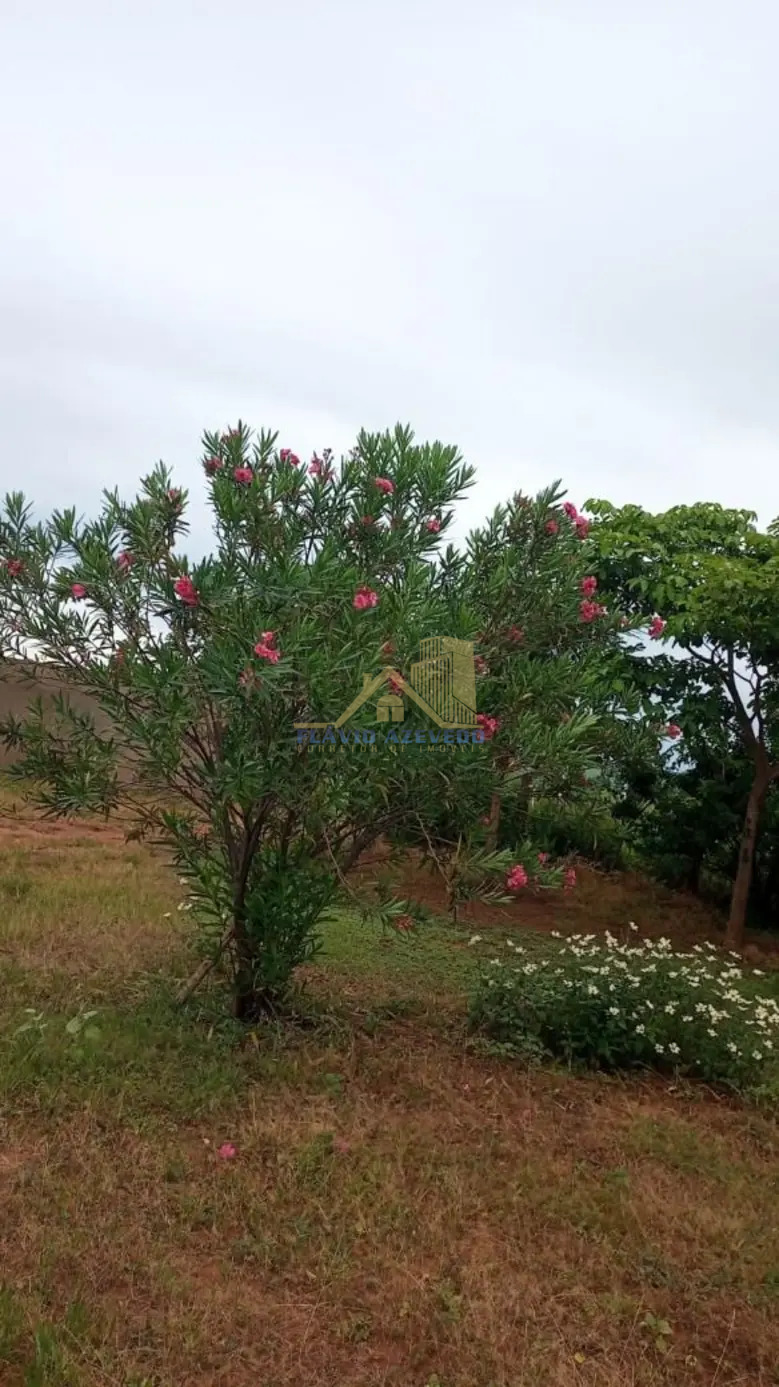 Chácara para Venda - Zona Rural, Parisi - Foto 3