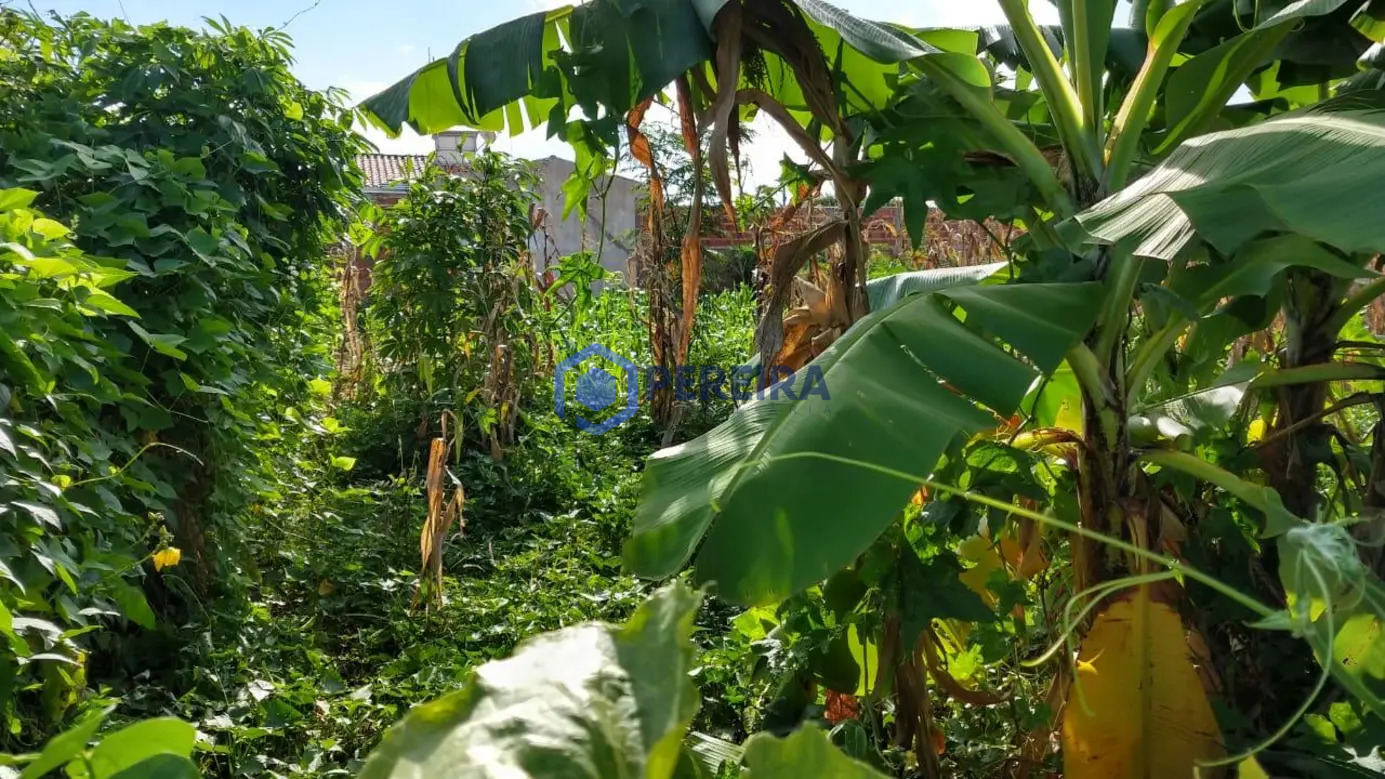 Terreno à venda, 270 m² por R$ 115.000 - Jardim Residencial Prado - Votuporanga/SP - Foto 2