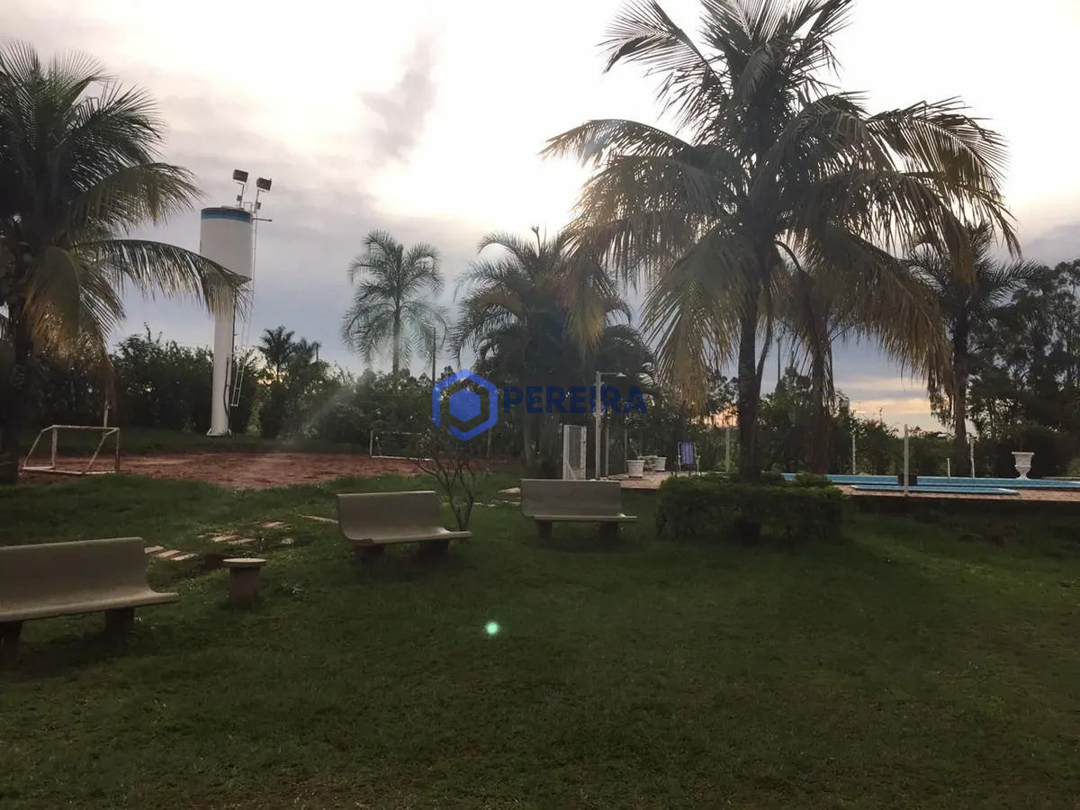 Chácara com 4 dormitórios à venda, 33000 m² por R$ 1.300.000 - Zona Rural - Votuporanga/SP - Foto 4