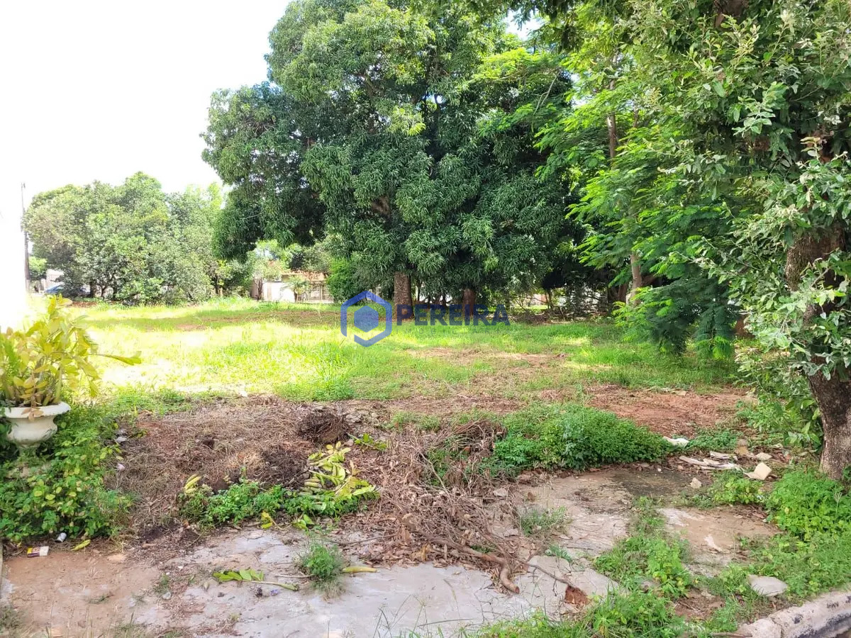 Terreno à Venda - 125m² - Jardim dos Pinheiros, Votuporanga - Foto 3