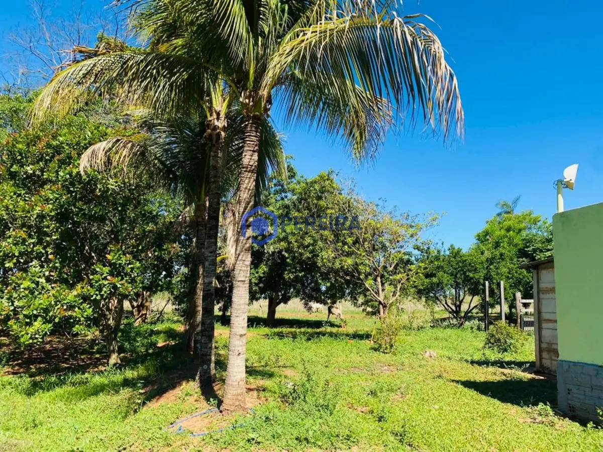Chácara com 2 dormitórios à venda, 20000 m² por R$ 650.000,00 - Zona Rural - Votuporanga/SP - Foto 2
