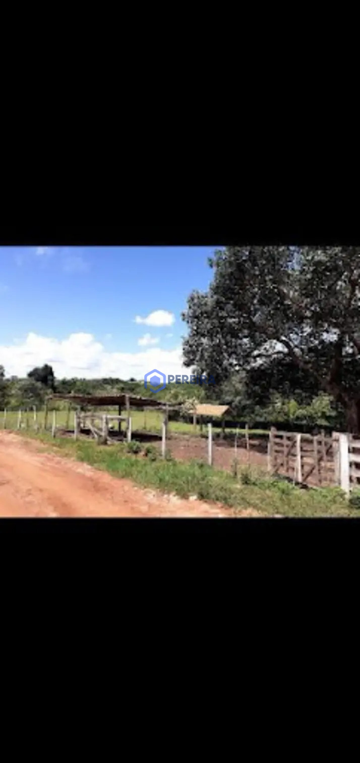 Chácara com 4 dormitórios à venda, 36000 m² por R$ 820.000,00 - Rural - Votuporanga/SP - Foto 4