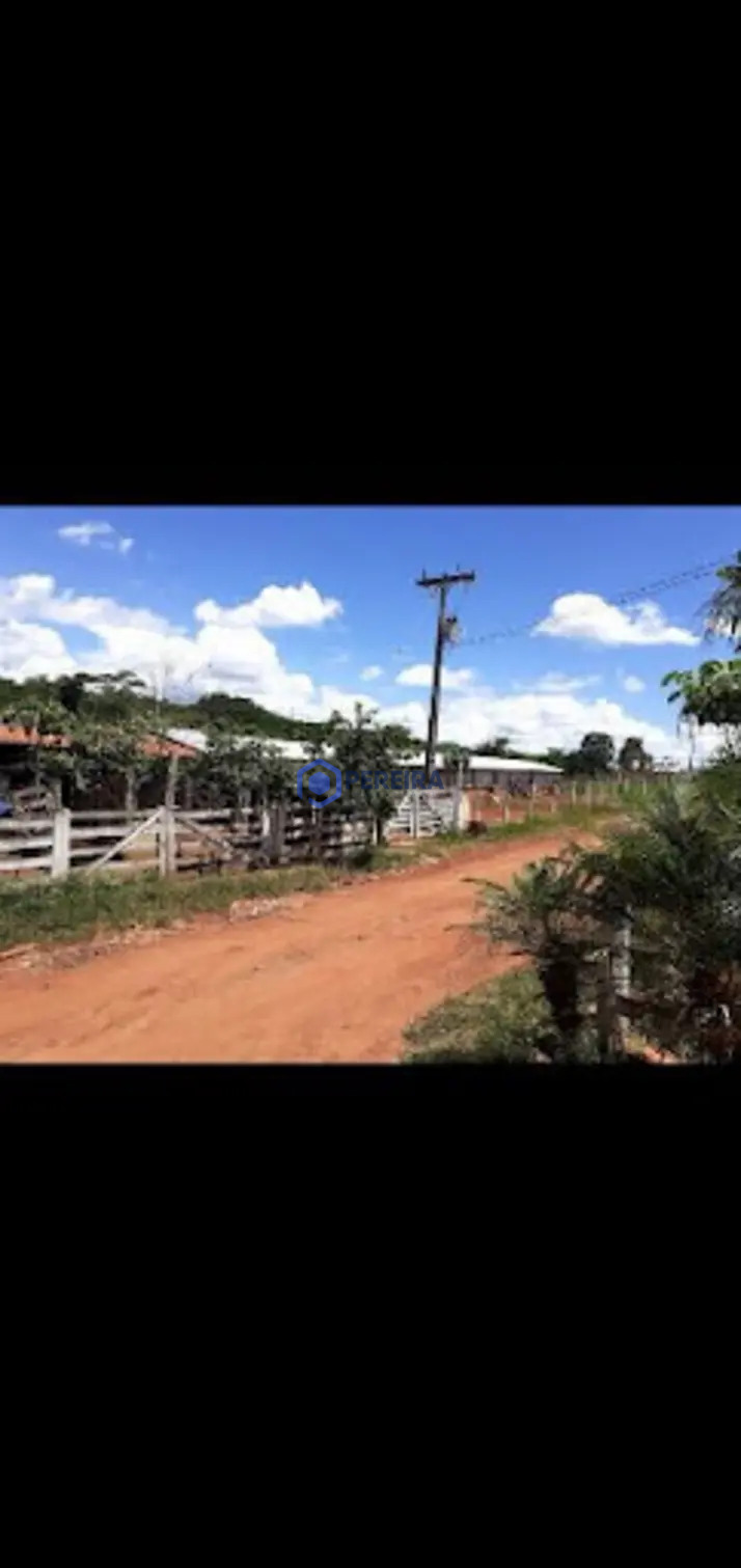 Chácara com 4 dormitórios à venda, 36000 m² por R$ 820.000,00 - Rural - Votuporanga/SP - Foto 5
