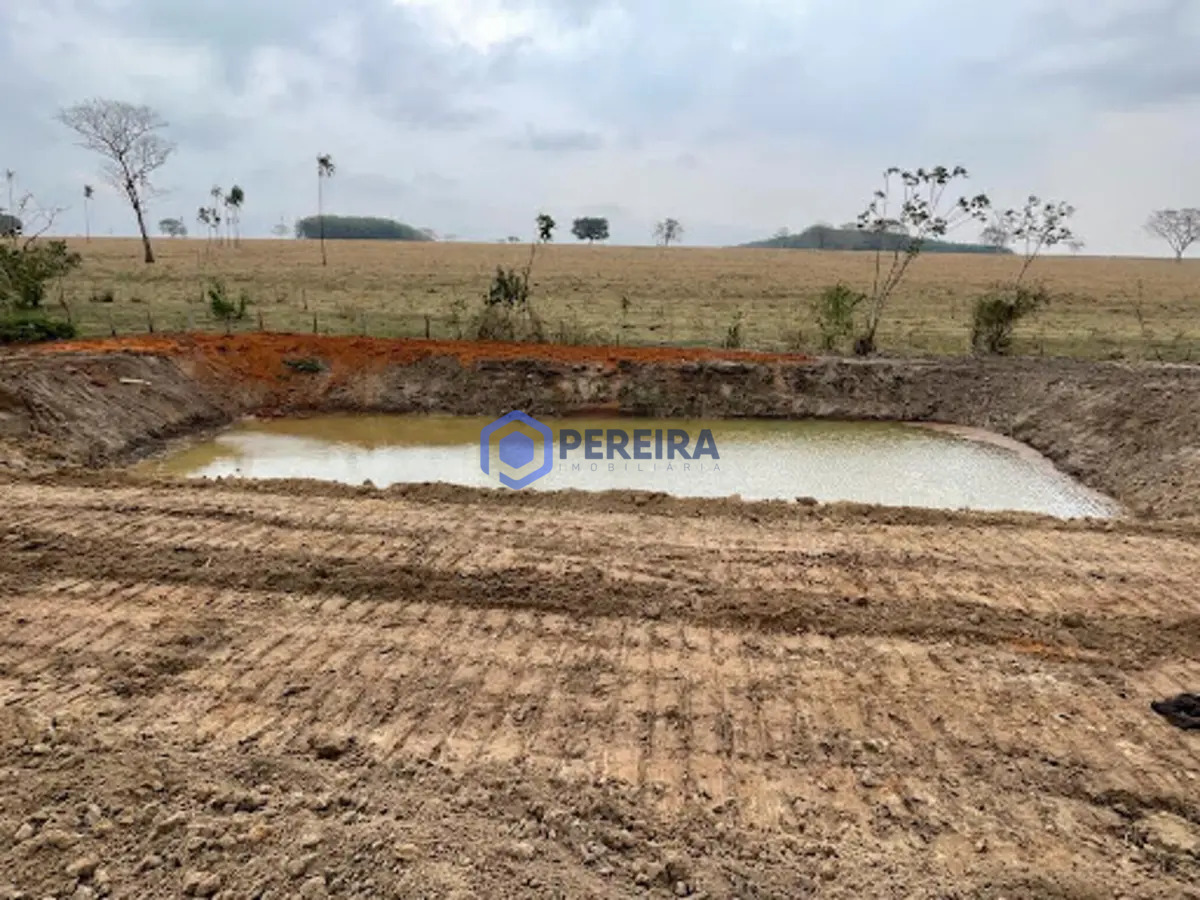 Chácara com 1 dormitório à venda, 24000 m² por R$ 230.000,00 - São Cosme - Votuporanga/SP - Foto 2