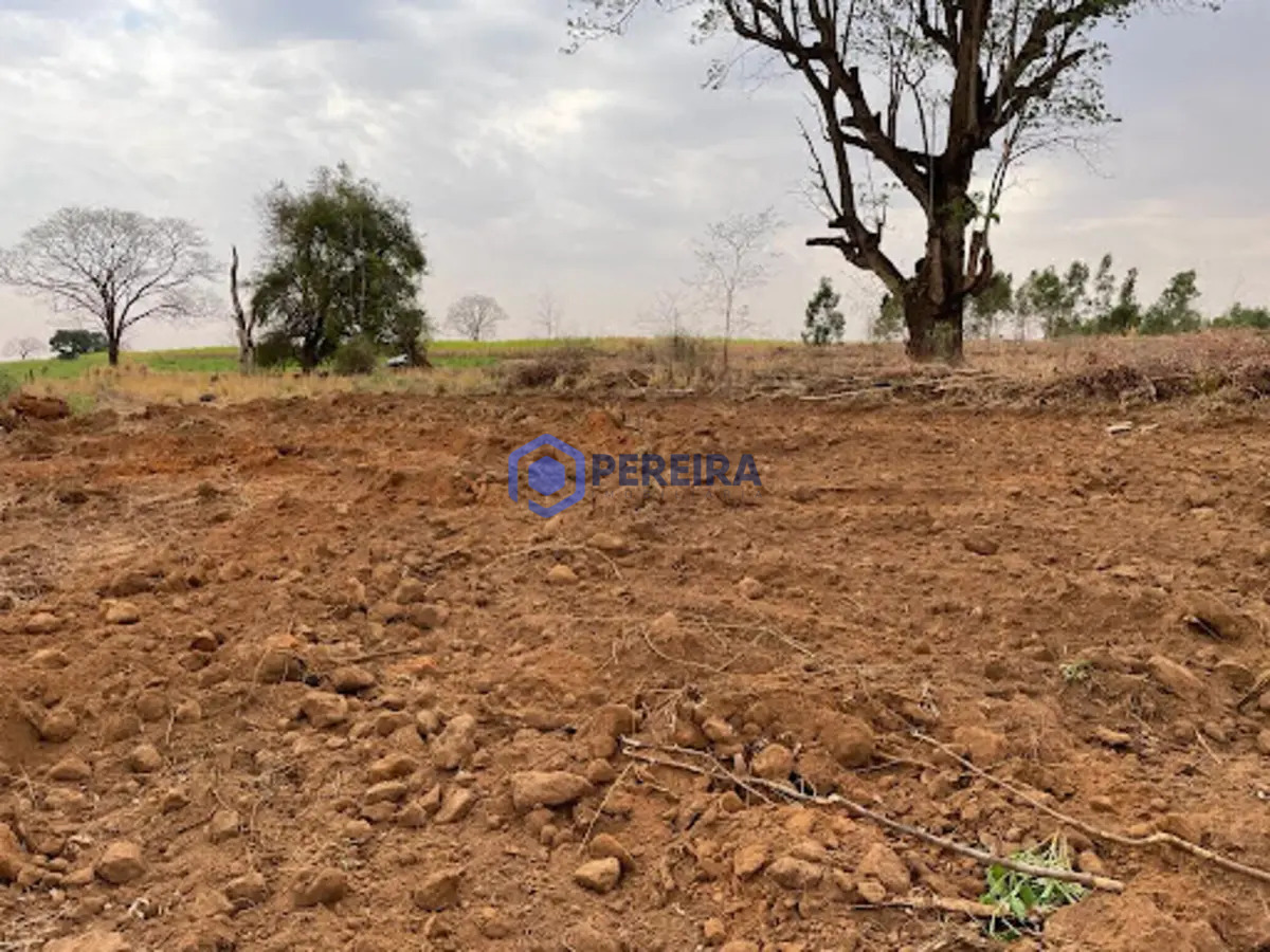 Chácara com 1 dormitório à venda, 24000 m² por R$ 230.000,00 - São Cosme - Votuporanga/SP - Foto 5