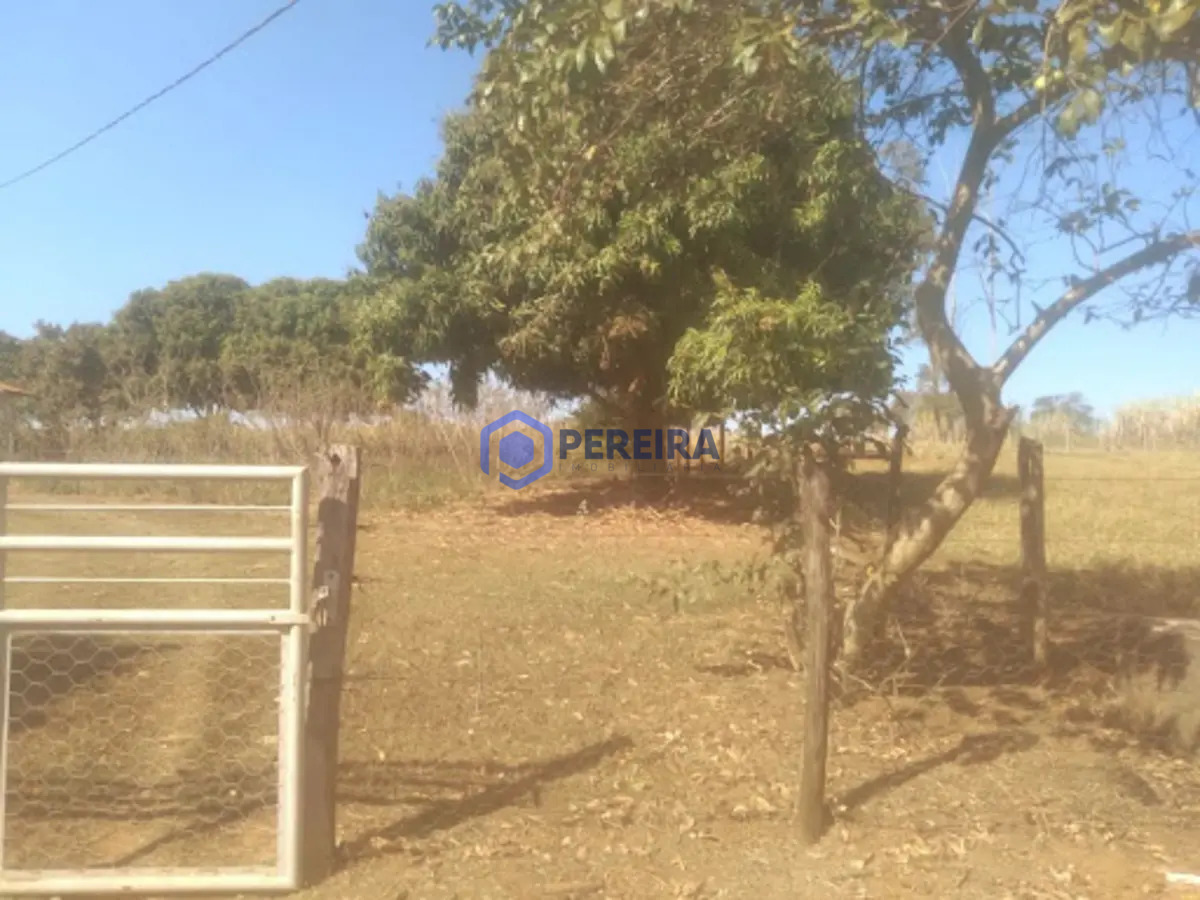 Chácara à venda 3km de Américo de Campos - Foto 2