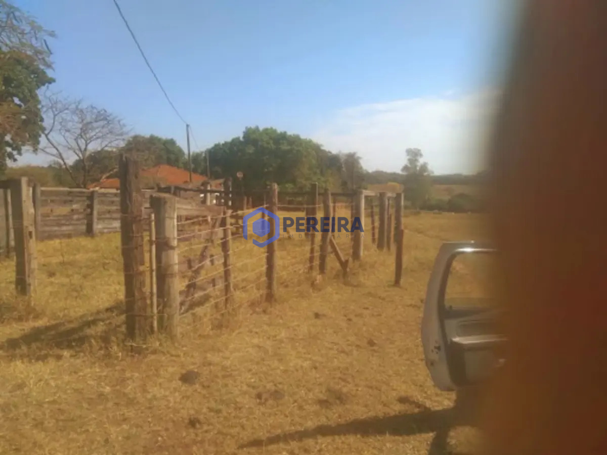 Chácara à venda 3km de Américo de Campos - Foto 3