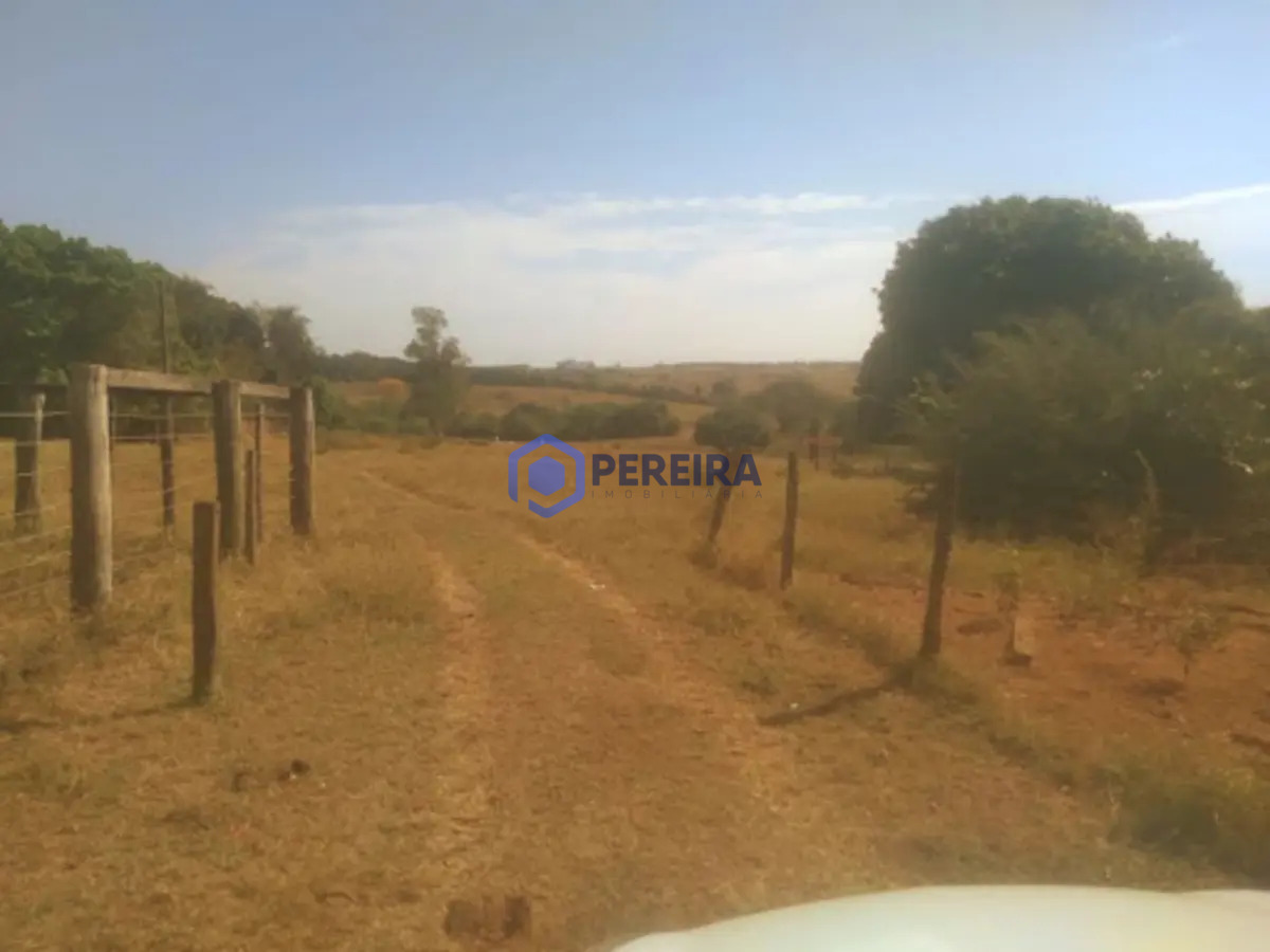 Chácara à venda 3km de Américo de Campos - Foto 4