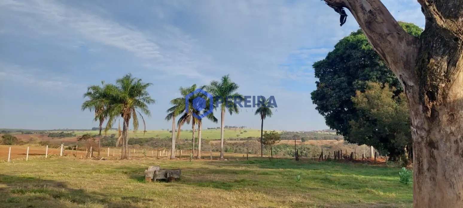 Chácara com 2 dormitórios à venda, 30000 m² por R$ 800.000 - Votuporanga/SP - Foto 2