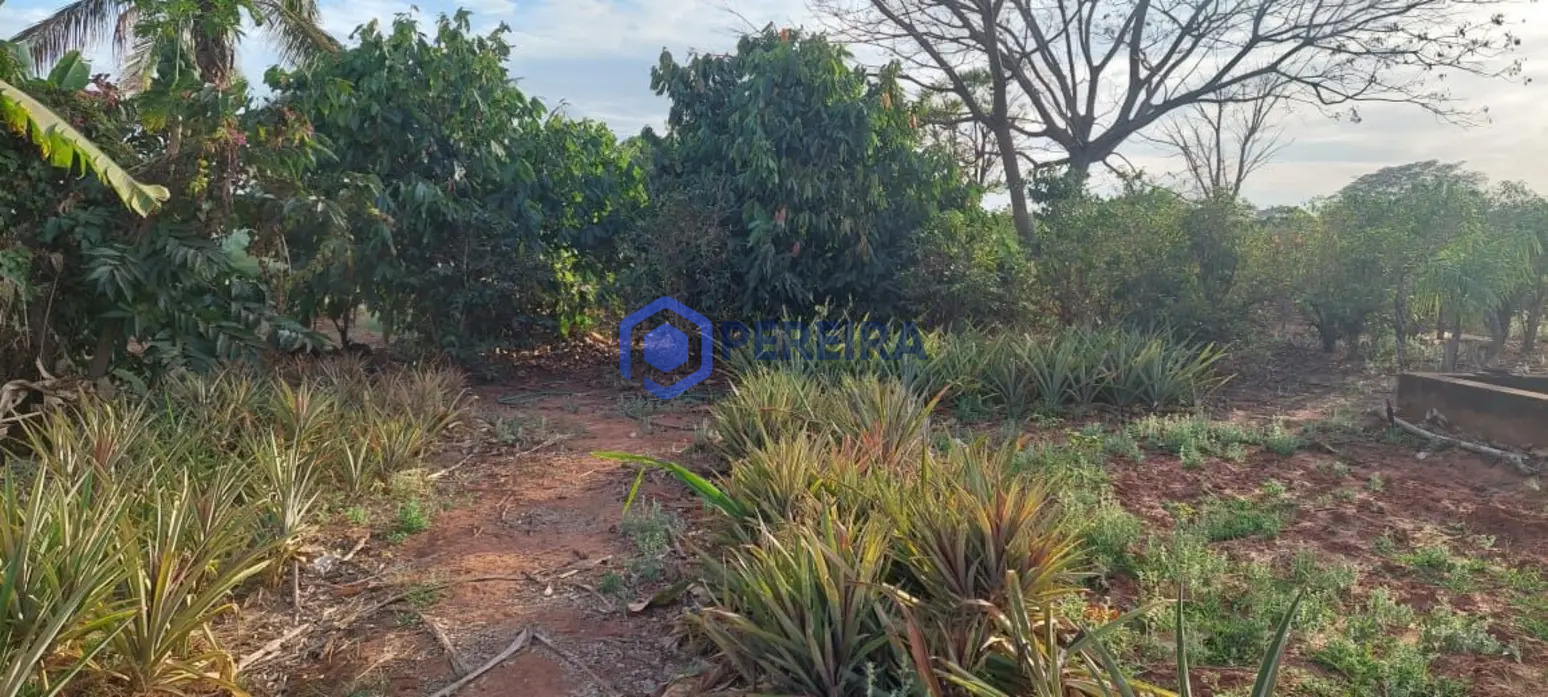 Chácara com 2 dormitórios à venda, 30000 m² por R$ 800.000 - Votuporanga/SP - Foto 4