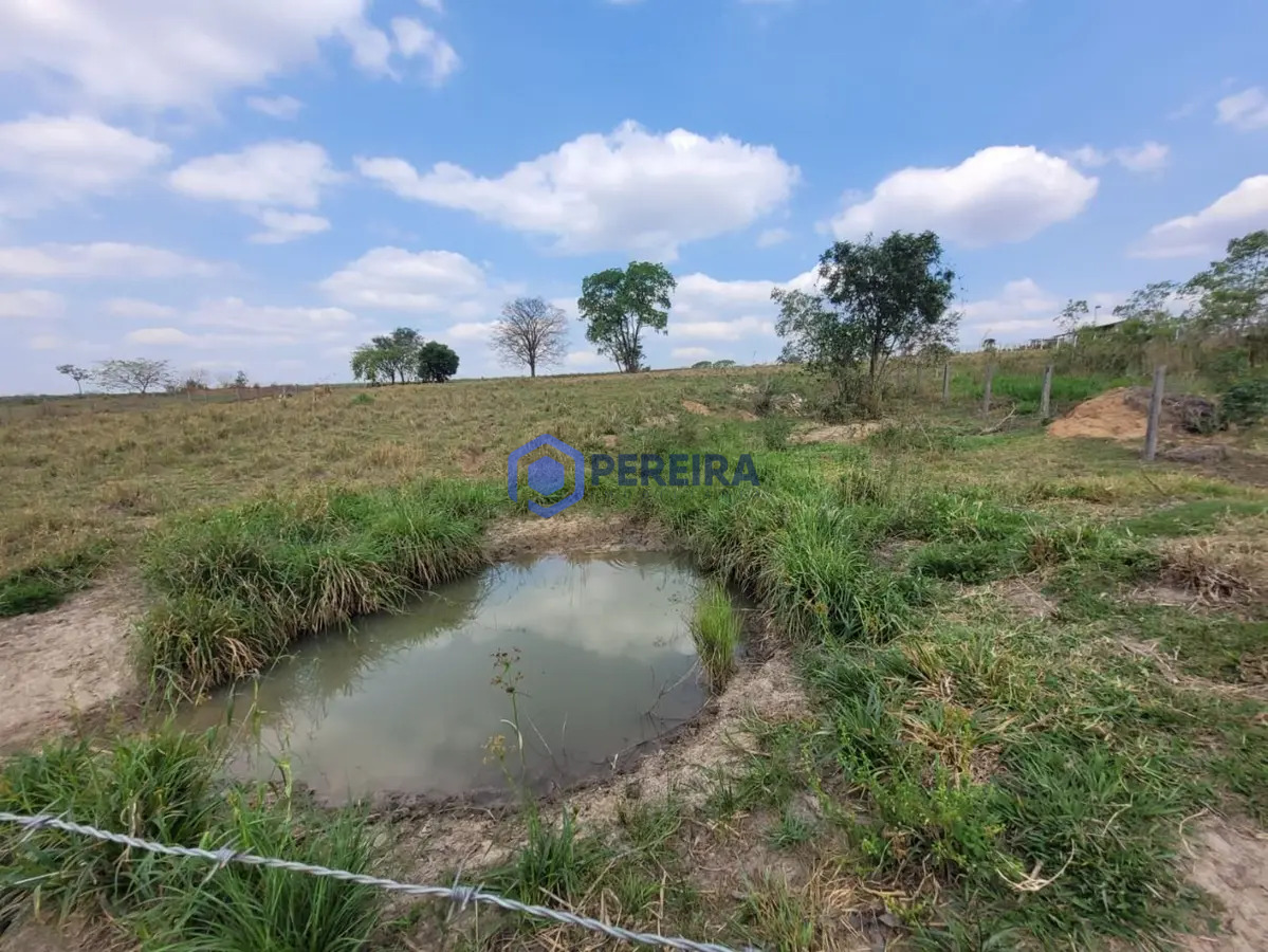 Chácara com 1 dormitório à venda, 32000 m² por R$ 410.000 - Rural - Votuporanga/SP - Foto principal