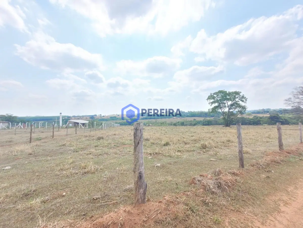 Chácara com 1 dormitório à venda, 32000 m² por R$ 410.000 - Rural - Votuporanga/SP - Foto 2