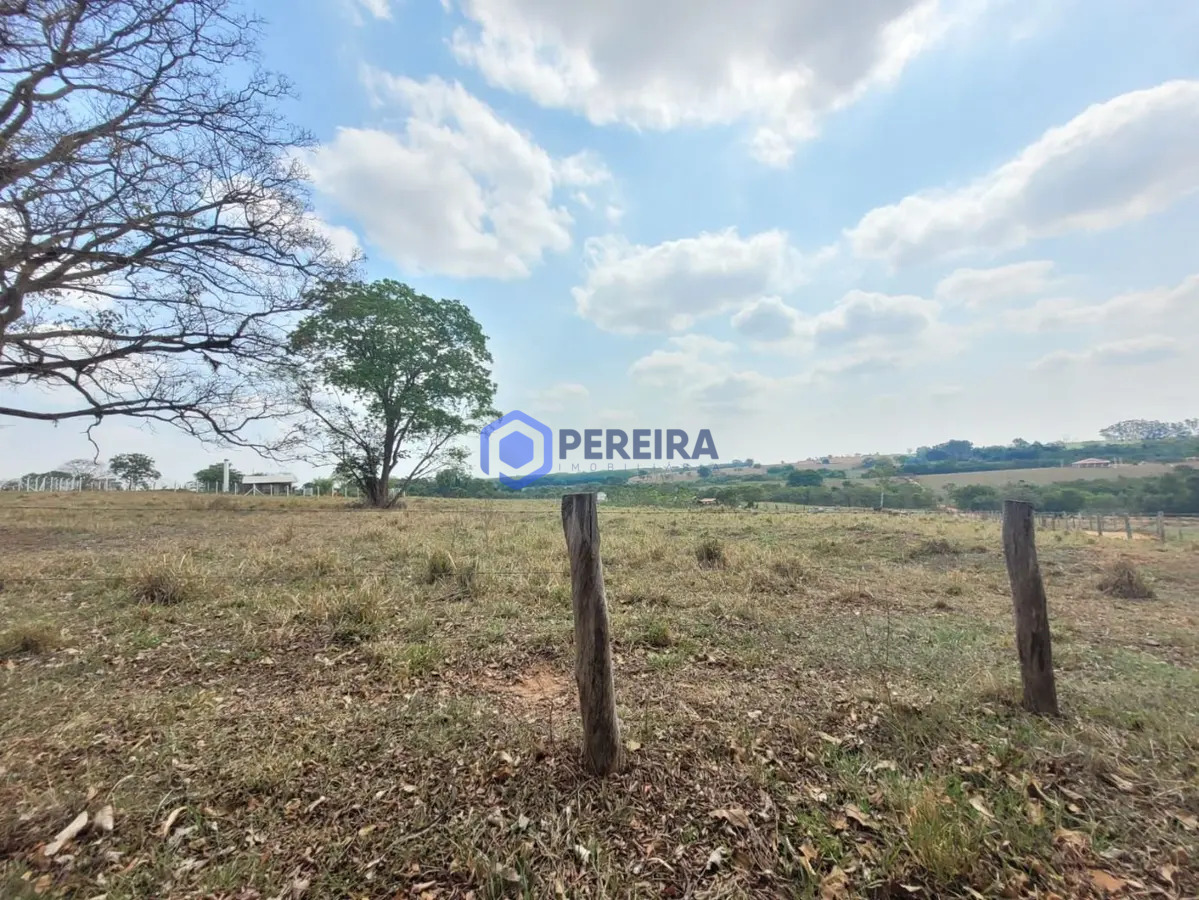 Chácara com 1 dormitório à venda, 32000 m² por R$ 410.000 - Rural - Votuporanga/SP - Foto 3