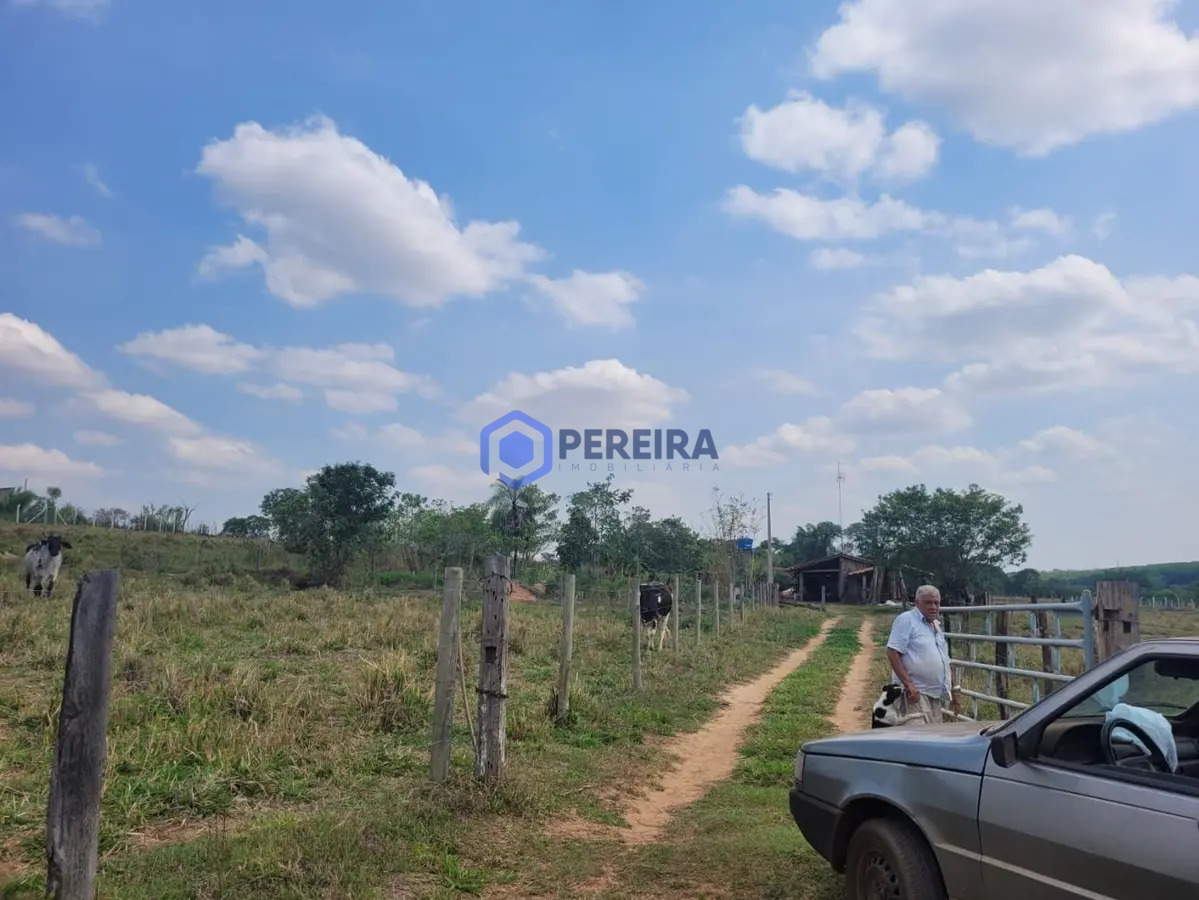 Chácara com 1 dormitório à venda, 32000 m² por R$ 410.000 - Rural - Votuporanga/SP - Foto 4