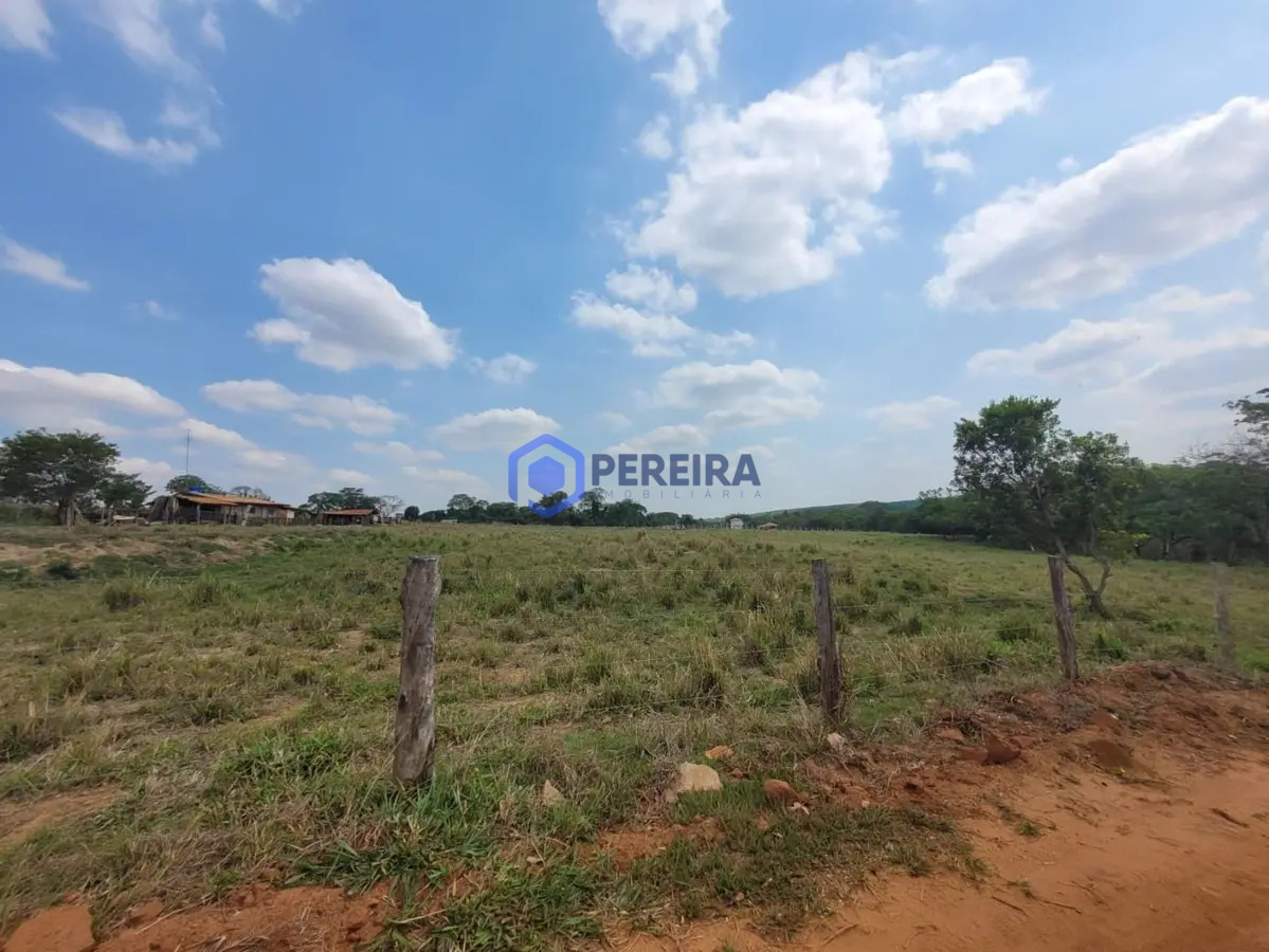 Chácara com 1 dormitório à venda, 32000 m² por R$ 410.000 - Rural - Votuporanga/SP - Foto 5