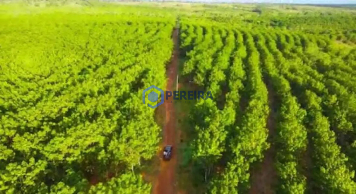 Fazenda com Seringueiras à venda, 2.409.000 m² por R$ 6.000.000 - Zona Rural - Pontal do Araguaia/MT - Foto principal