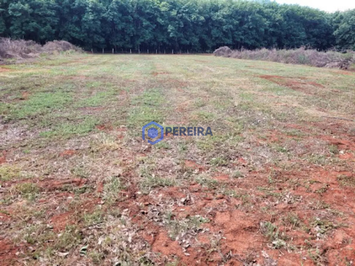 Chácara à venda, 30.500 m² por R$ 370.000 - Rod. Euclides da Cunha Votuporanga/SP - Foto principal