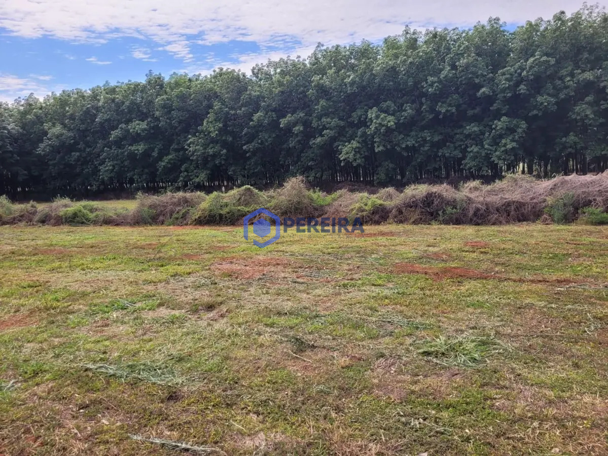 Chácara à venda, 30.500 m² por R$ 370.000 - Rod. Euclides da Cunha Votuporanga/SP - Foto 3