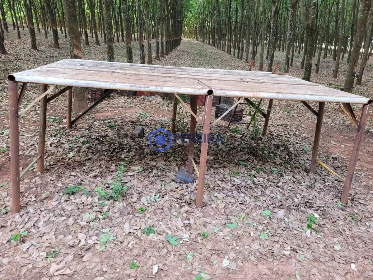 Chácara à venda, 30.500 m² por R$ 370.000 - Rod. Euclides da Cunha Votuporanga/SP - Foto 4