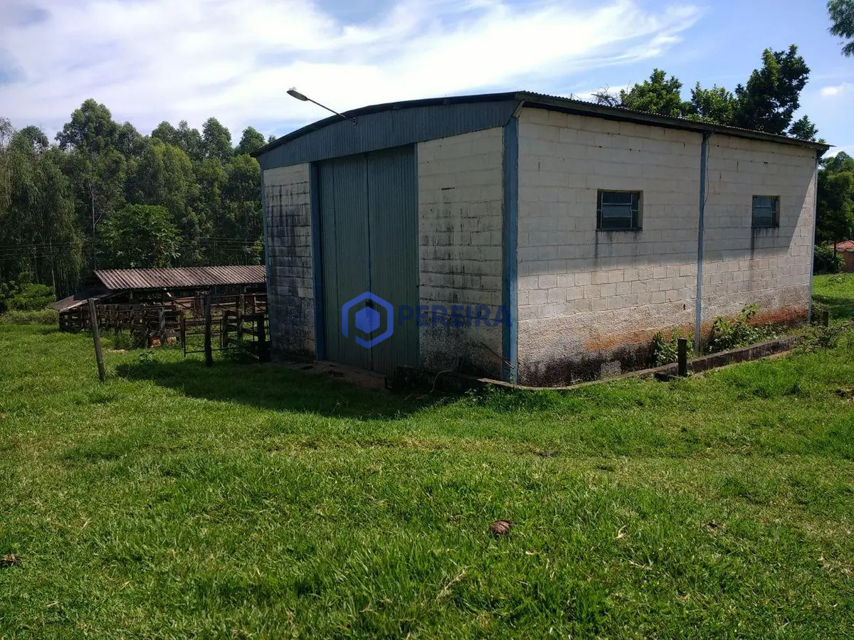 Chácara rural à venda, Zona Rural, Votuporanga. - Foto 5