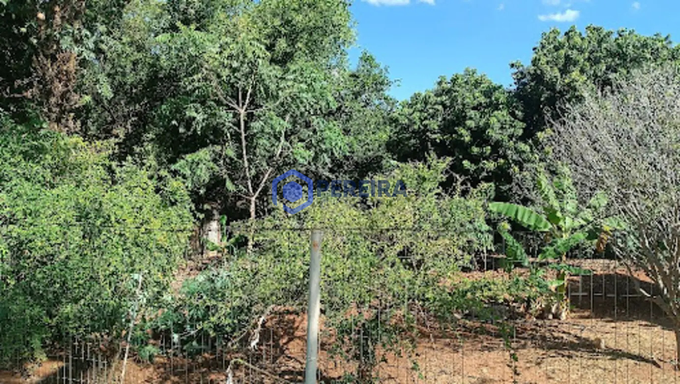Chácara com 3 dormitórios à venda, 30350 m² por R$ 1.700.000,00 - Zona Rural - Votuporanga/SP - Foto 2