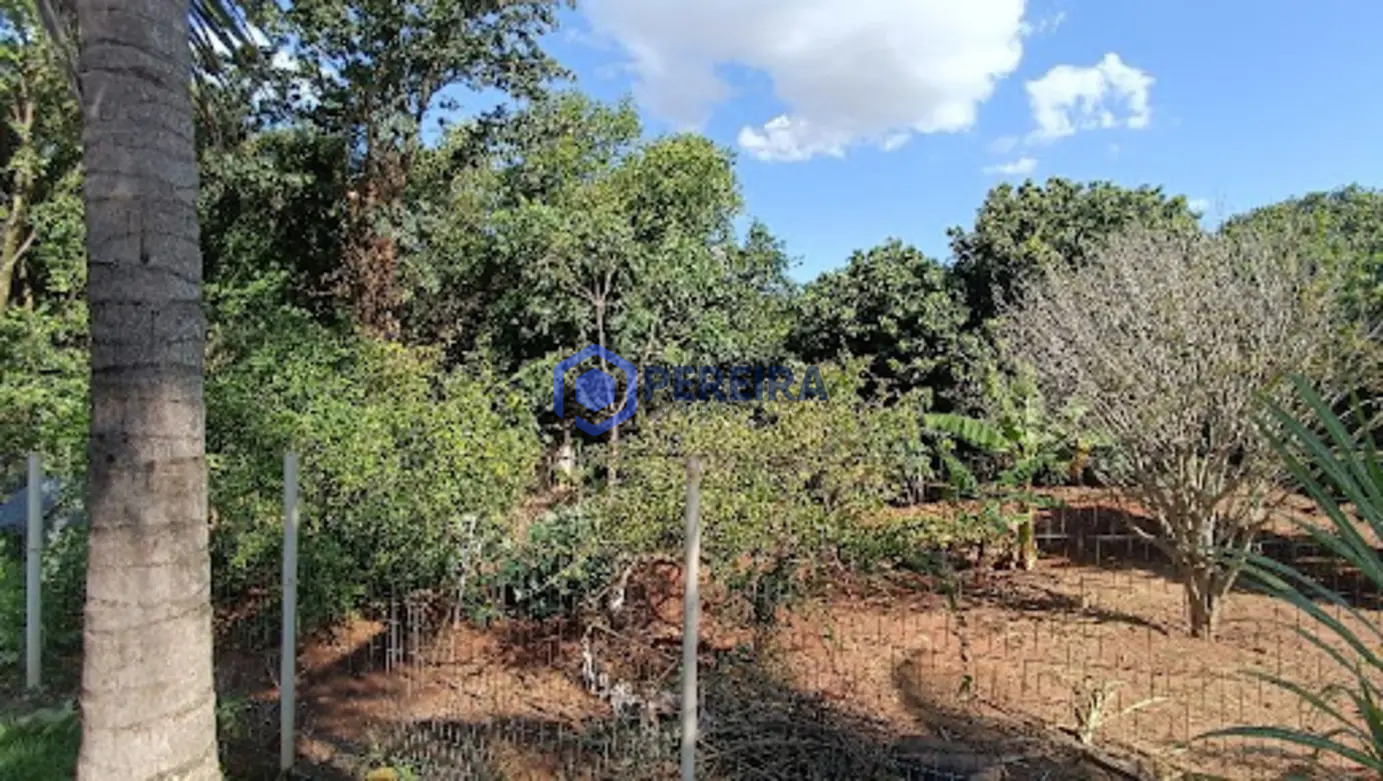 Chácara com 3 dormitórios à venda, 30350 m² por R$ 1.700.000,00 - Zona Rural - Votuporanga/SP - Foto 3