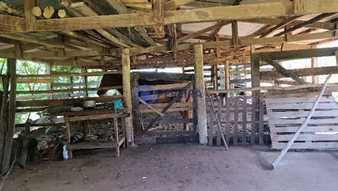 Sítio com 5 dormitórios à venda, 145200 m² por R$ 1.700.000,00 - Zona Rural - Votuporanga/SP - Foto 2