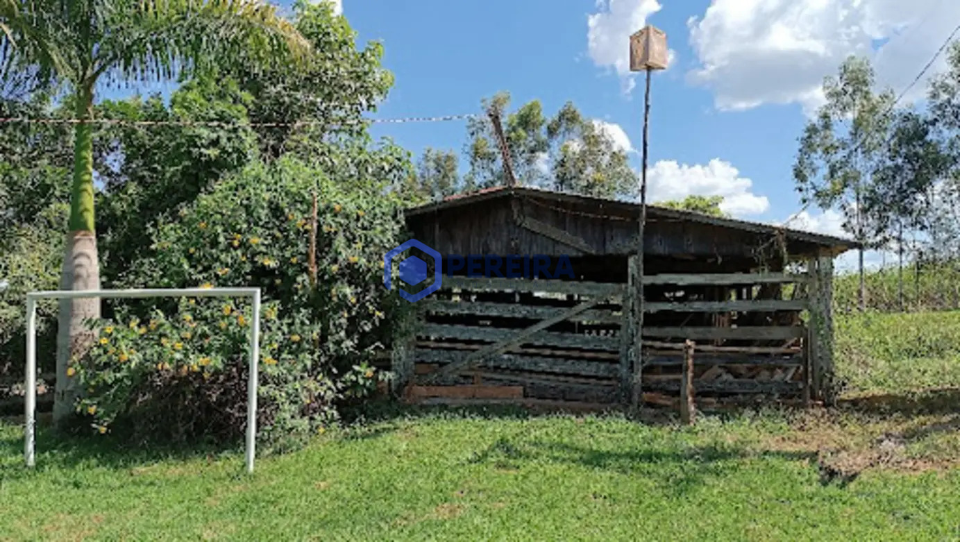 Sítio com 5 dormitórios à venda, 145200 m² por R$ 1.700.000,00 - Zona Rural - Votuporanga/SP - Foto 3
