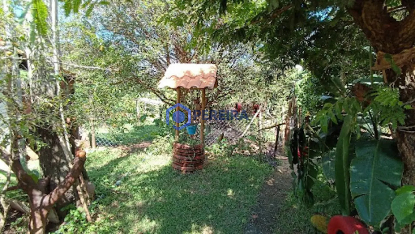 Sítio com 5 dormitórios à venda, 145200 m² por R$ 1.700.000,00 - Zona Rural - Votuporanga/SP - Foto 5