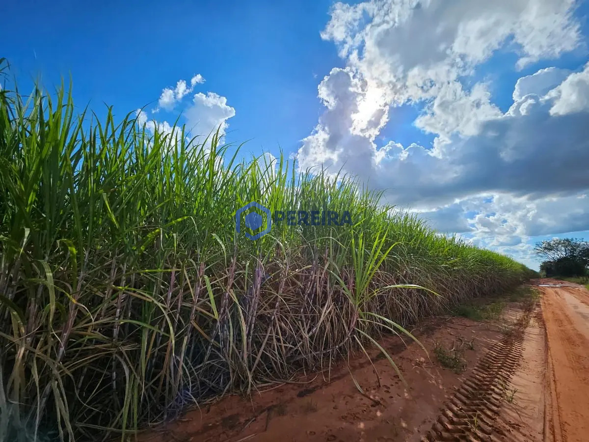 Fazenda à venda, 106 alqueires por R$ 21.200.000 - Foto 3
