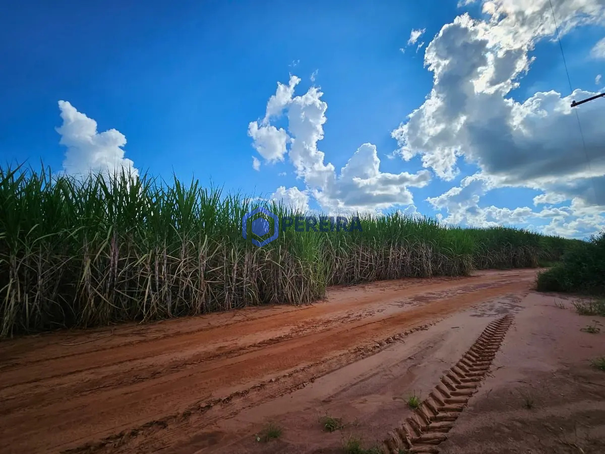 Fazenda à venda, 106 alqueires por R$ 21.200.000 - Foto 4