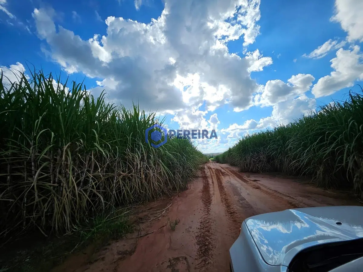Fazenda à venda, 106 alqueires por R$ 21.200.000 - Foto 5