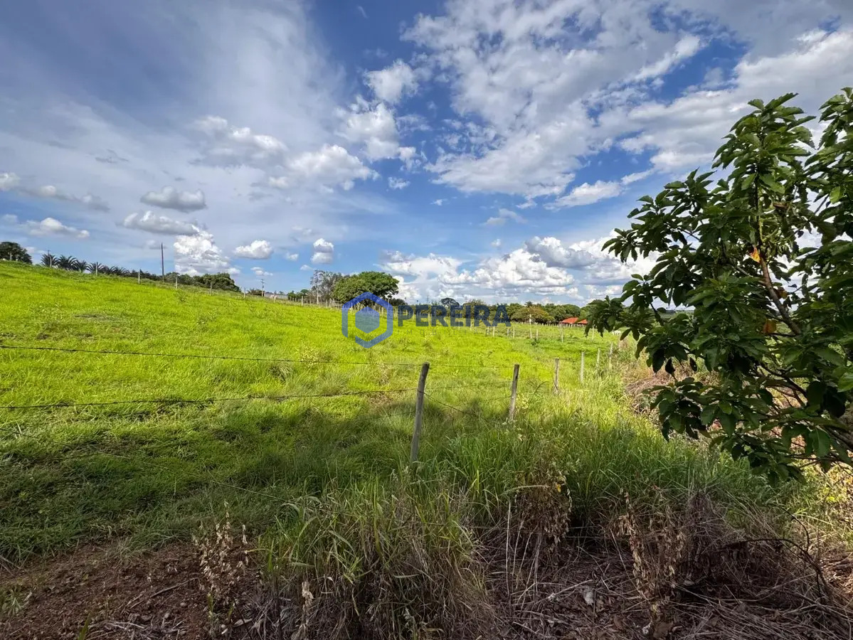 Chácara com 3 dormitórios à venda, 24000 m² por R$ 1.300.000,00 - Rural - Votuporanga/SP - Foto 3
