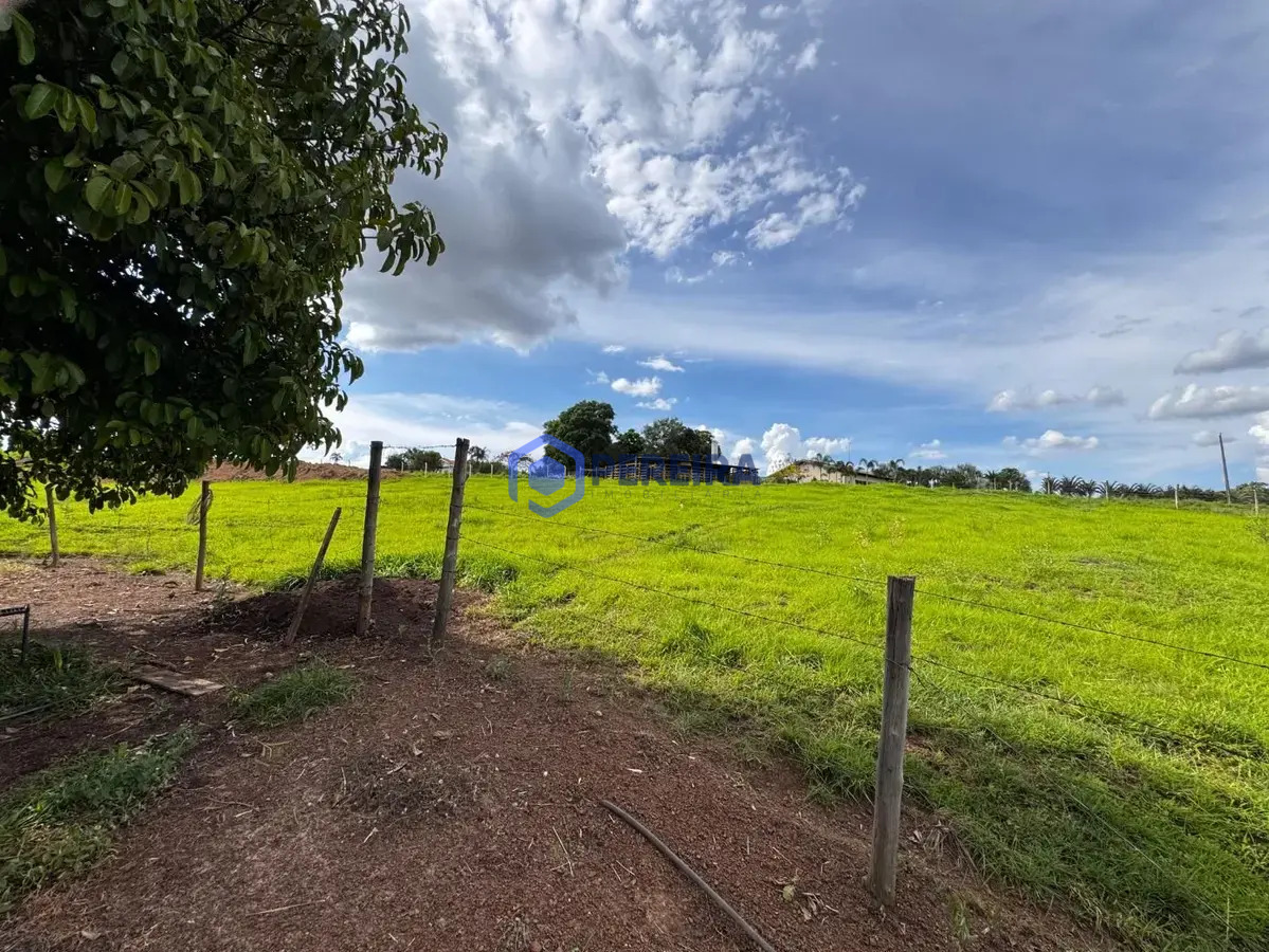 Chácara com 3 dormitórios à venda, 24000 m² por R$ 1.300.000,00 - Rural - Votuporanga/SP - Foto 4