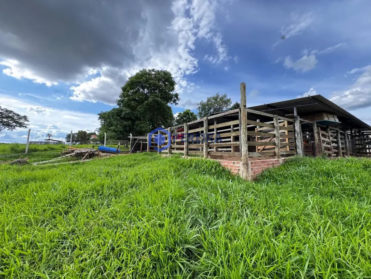Chácara com 3 dormitórios à venda, 24000 m² por R$ 1.300.000,00 - Rural - Votuporanga/SP - Foto 5