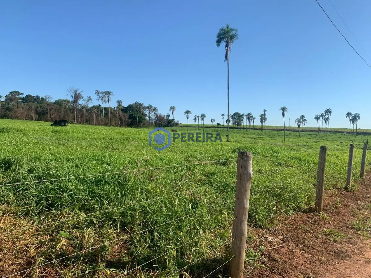 Chácara à venda, 20 m² por R$ 300.000 - Zona Rural - Parisi/SP - Foto 4