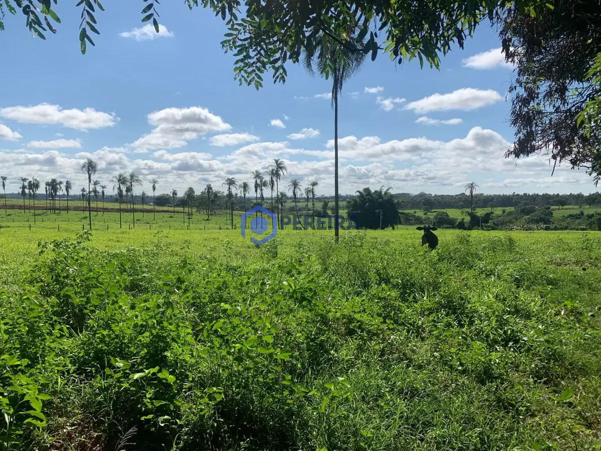 Chácara à venda, 20 m² por R$ 300.000 - Zona Rural - Parisi/SP - Foto 5