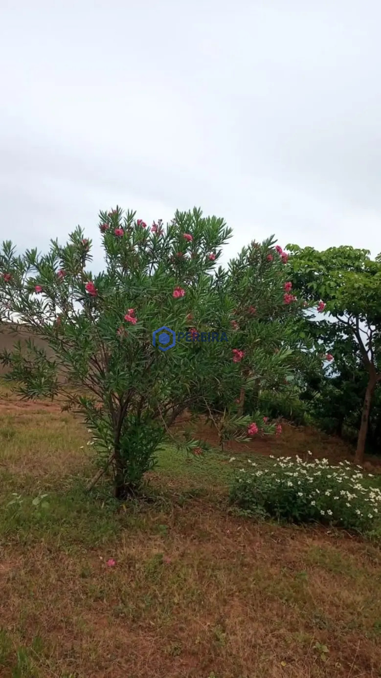 Chácara à venda, 240000 m² por R$ 600.000,00 - Zona Rural - Parisi/SP - Foto 3