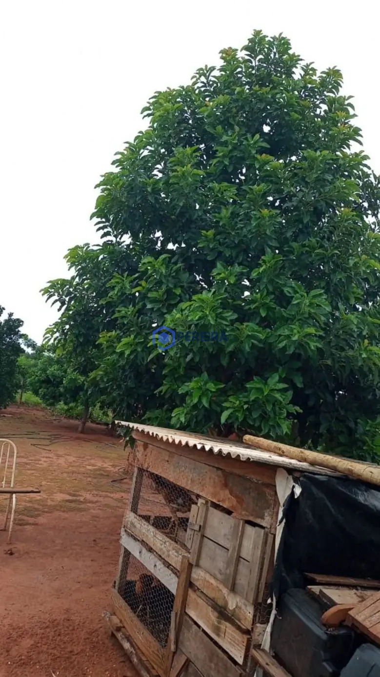 Chácara à venda, 240000 m² por R$ 600.000,00 - Zona Rural - Parisi/SP - Foto 5