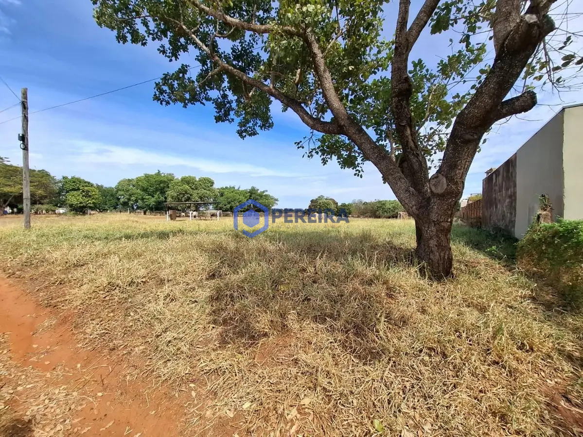 Área à venda, 20000 m² por R$ 4.000. - Parque Residencial do Lago - Votuporanga/SP - Foto 2