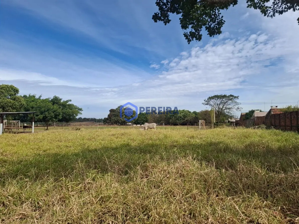 Área à venda, 20000 m² por R$ 4.000. - Parque Residencial do Lago - Votuporanga/SP - Foto 3