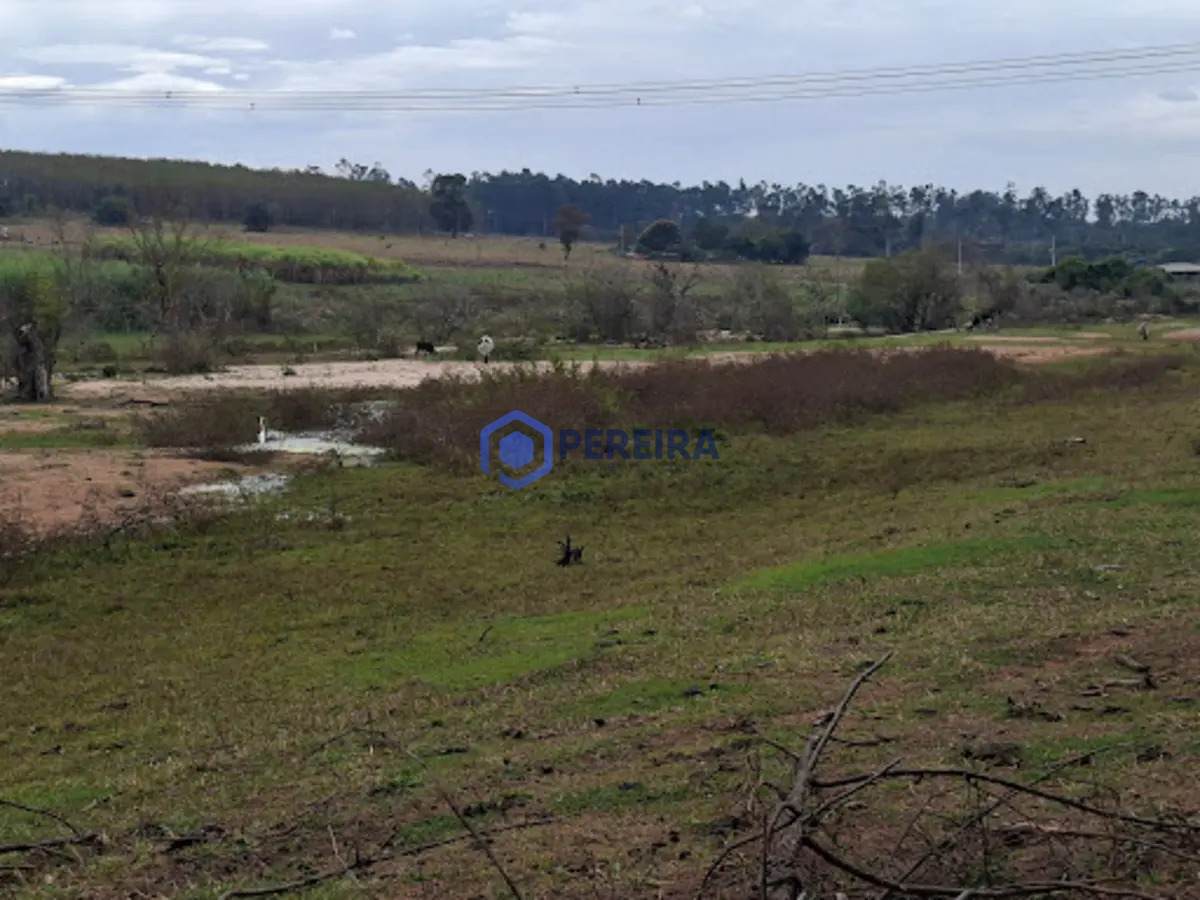 Chácara à venda, 16334 m² por R$ 370.000,00 - Zona Rural - Votuporanga/SP - Foto 3