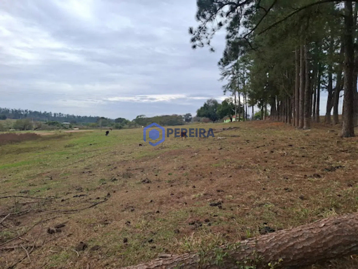 Chácara à venda, 16334 m² por R$ 370.000,00 - Zona Rural - Votuporanga/SP - Foto 4