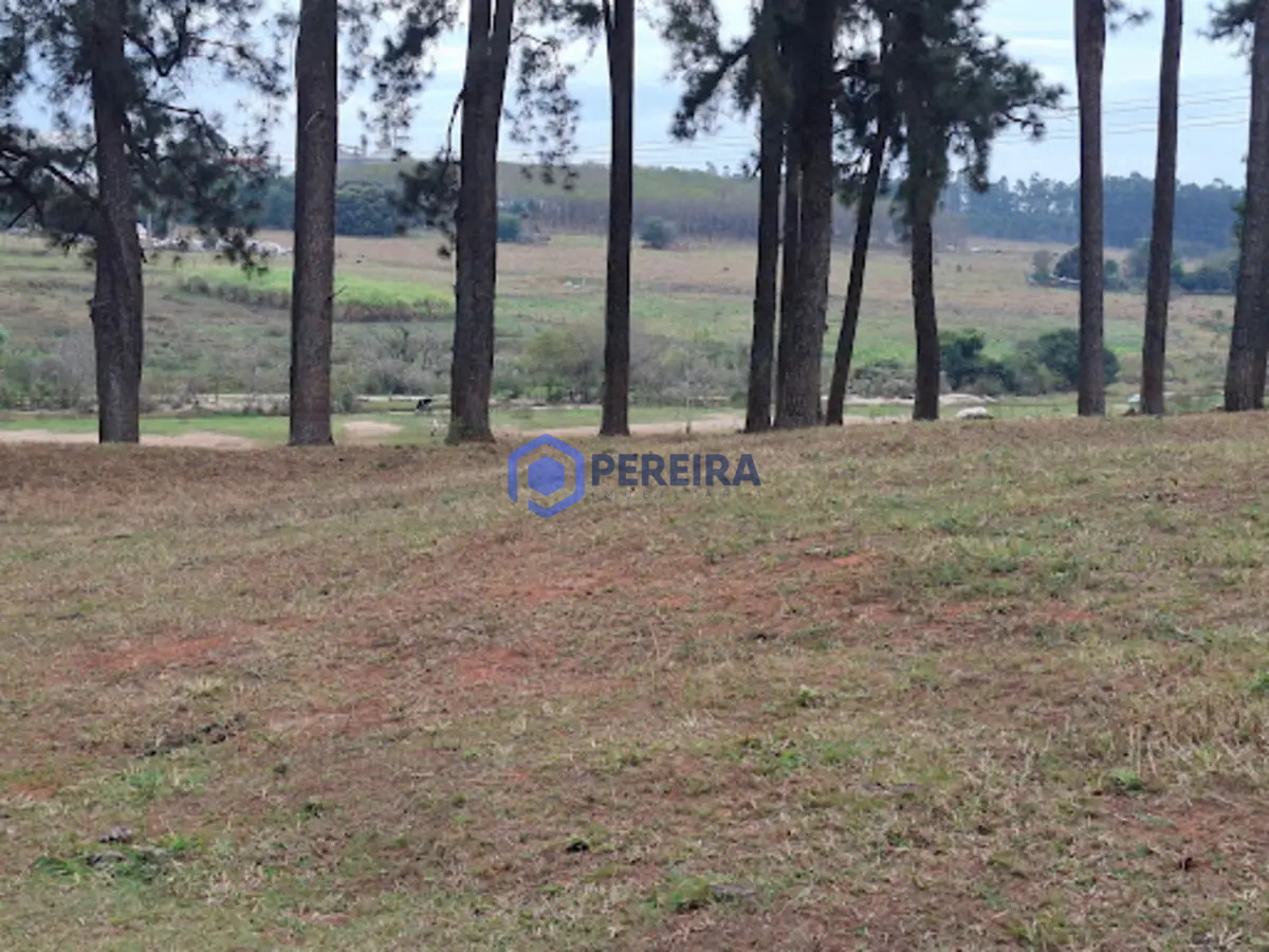 Chácara à venda, 16334 m² por R$ 370.000,00 - Zona Rural - Votuporanga/SP - Foto 5
